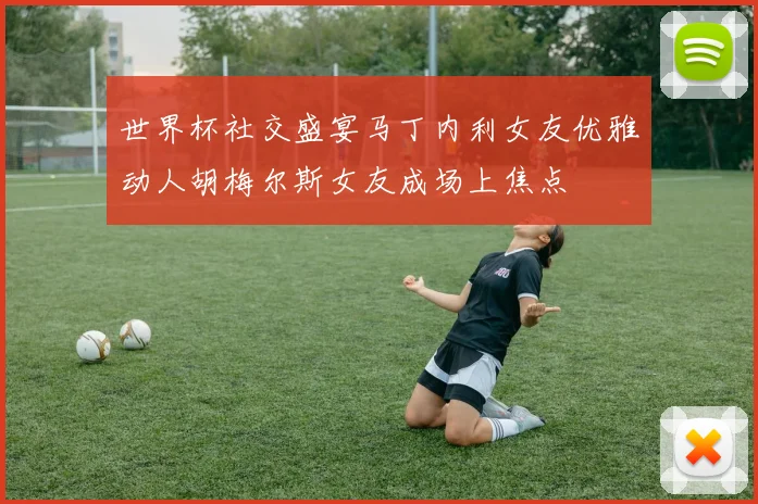 世界杯社交盛宴马丁内利女友优雅动人胡梅尔斯女友成场上焦点