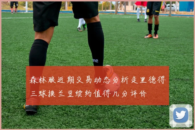 森林狼近期交易动态分析走里德得三球换兰豆续约值得几分评价